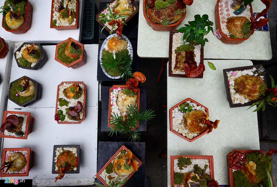 Nấm linh chi biến thành cây cảnh trưng bày dịp Tết